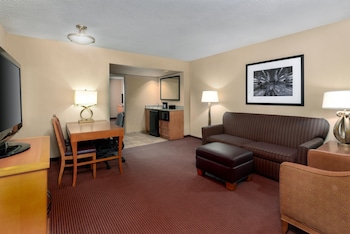 Suite, 1 King Bed with Sofa bed, Microwave