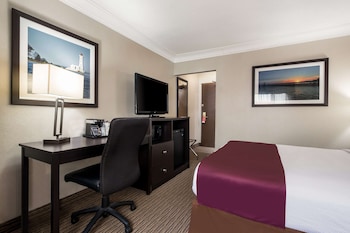 Standard Room, 1 Queen Bed, Non Smoking, Refrigerator