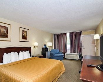 Room, 1 King Bed, Accessible, Non Smoking