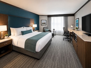 Room, 1 King Bed, Non Smoking