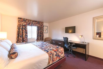 Suite, 1 King Bed with Sofa bed