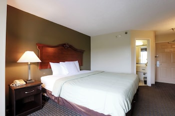 Suite, 1 King Bed