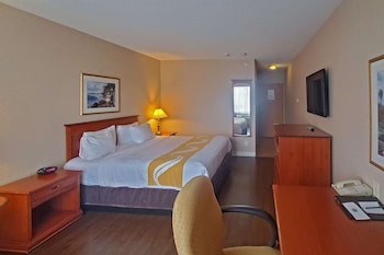 Standard Room, 1 King Bed, Non Smoking