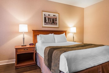 Standard Room, 1 King Bed, Non Smoking