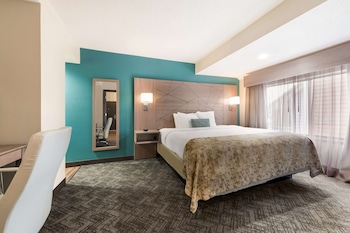 Suite, 1 King Bed, Accessible, Kitchen (with Sofabed)