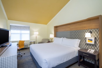 Standard Room, 1 King Bed, Accessible (Roll-In Shower)