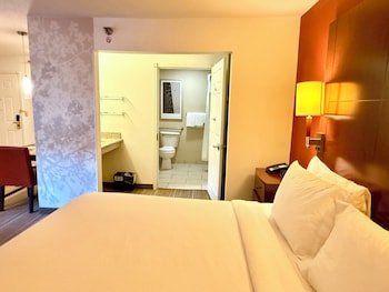 Suite, 1 Bedroom