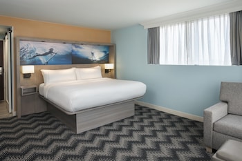 Room, 1 King Bed