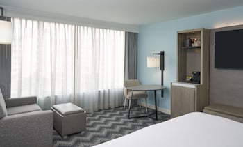 Room, 1 King Bed