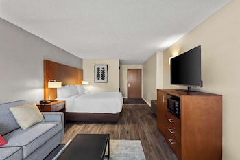 Standard Room, 1 King Bed, Non Smoking, Refrigerator & Microwave (Larger Room;with Sofabed)