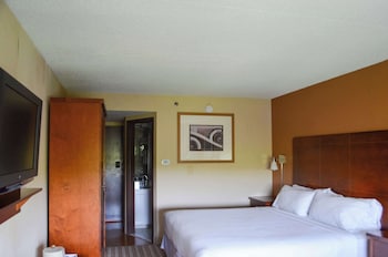Standard Room, 1 King Bed, Non Smoking