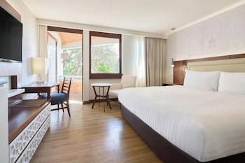 Room, 1 King Bed