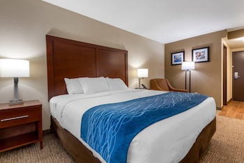Room, 1 King Bed, Accessible, Non Smoking