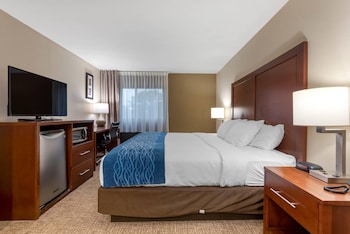 Room, 1 King Bed, Accessible, Non Smoking