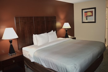 Standard Room, 1 King Bed, Non Smoking