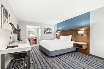 Standard Room, 1 King Bed, Non Smoking, Refrigerator & Microwave