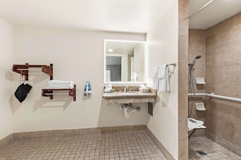 Standard Room, 1 King Bed, Accessible, Non Smoking