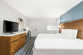 Standard Room, 1 King Bed, Non Smoking, Refrigerator & Microwave