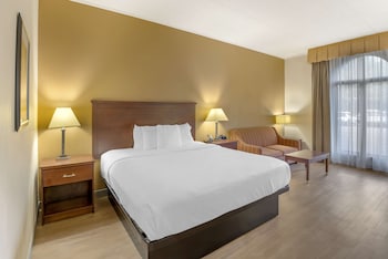 Deluxe Room, 1 King Bed, Non Smoking, Refrigerator & Microwave (with Sofabed)