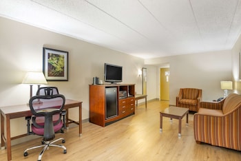 Suite, 1 King Bed, Non Smoking, Refrigerator & Microwave