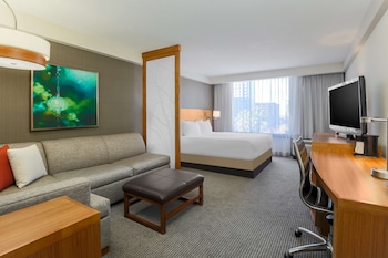 Room, 1 King Bed, Accessible (Shower)