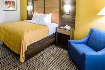 Room, 1 King Bed, Non Smoking