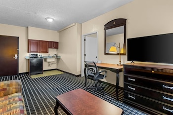 Suite, 1 King Bed with Sofa bed, Non Smoking (Upgrade)