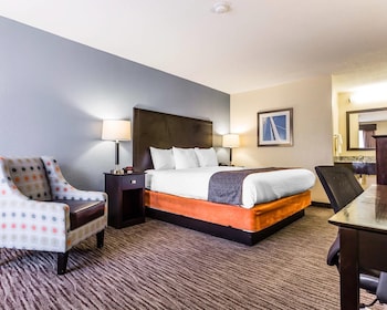 Standard Room, 1 King Bed, Non Smoking