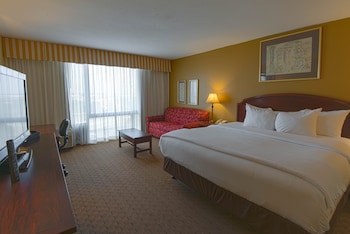 Standard Room, 1 King Bed with Sofa bed, Mobility Accessible