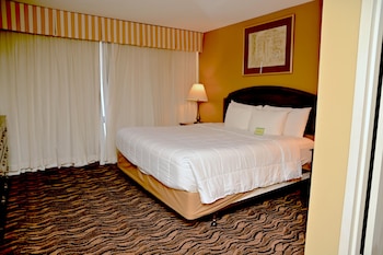 Suite, 1 Bedroom