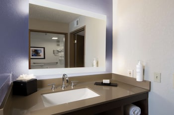 Suite, 1 King Bed, Accessible (Roll-In Shower)