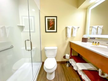Standard Room, 1 King Bed, Non Smoking, Refrigerator