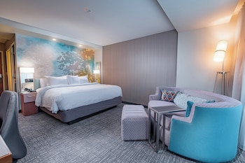 Room, 1 King Bed, Hearing Accessible (Roll-in Shower)