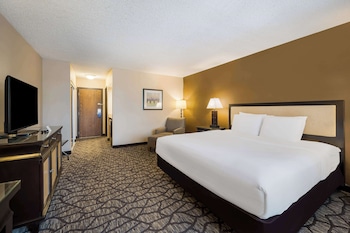 Standard Room, 1 King Bed, Non Smoking, Refrigerator & Microwave (Larger Room)