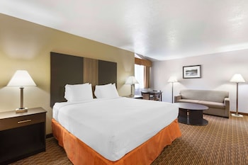 Standard Room, 1 King Bed, Non Smoking, Refrigerator & Microwave (with Sofabed)