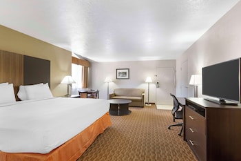 Standard Room, 1 King Bed, Non Smoking, Refrigerator & Microwave (with Sofabed)