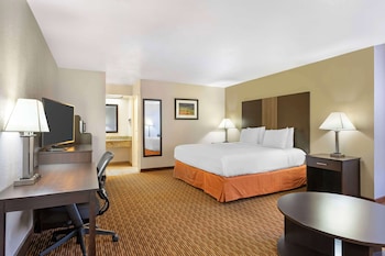 Standard Room, 1 King Bed, Non Smoking, Refrigerator & Microwave (with Sofabed)