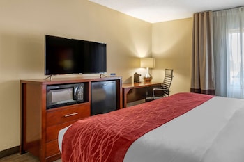 Accessible Non Smoking King room