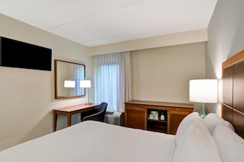 Suite, 1 King Bed