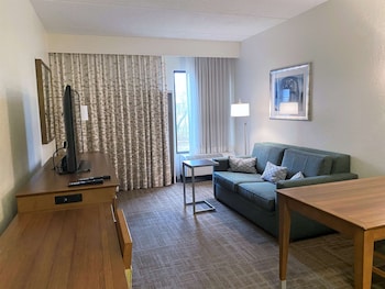 Suite, 1 King Bed