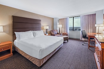 Room, 1 King Bed, Bathtub, Mountain View