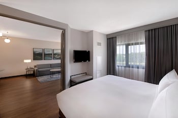 Suite, 1 King Bed with Sofa bed, Microwave