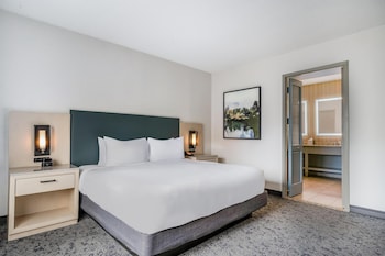 Suite, 1 King Bed, Non Smoking