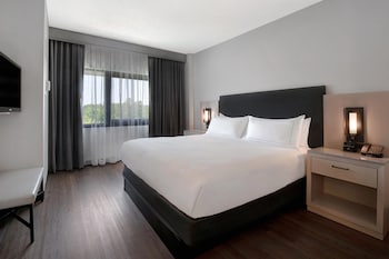 Suite, 1 King Bed with Sofa bed, Jetted Tub
