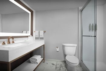 Room, 1 King Bed, Roll-in Shower (Transfer Shower)