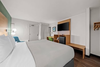 Room, 1 King Bed, Accessible, Non Smoking