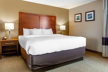 Room, 1 King Bed, Accessible, Non Smoking