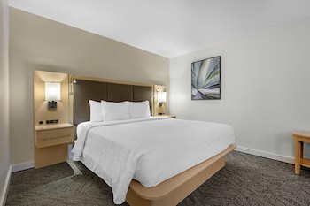 Suite, 1 King Bed, Accessible, Non Smoking (Walk-in Shower;with Sofabed)