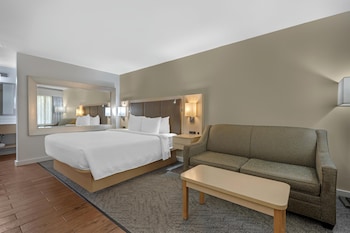 Standard Room, 1 King Bed, Non Smoking, Courtyard View