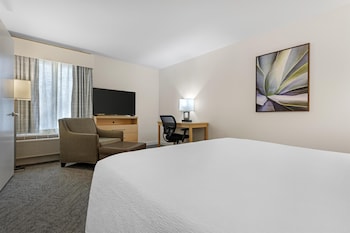 Suite, 1 King Bed, Accessible, Non Smoking (with Sofabed)